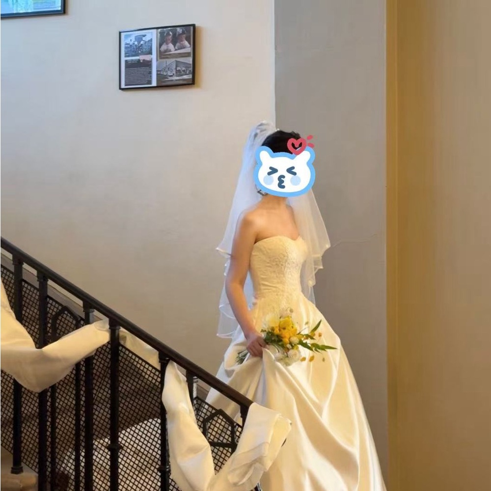 David's Bridal Cream Wedding Dress